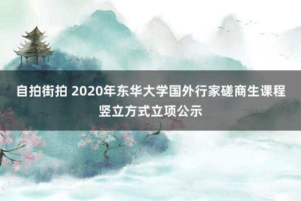 自拍街拍 2020年东华大学国外行家磋商生课程竖立方式立项公示