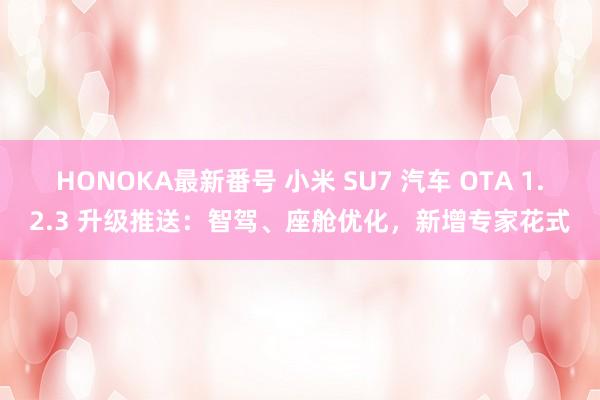 HONOKA最新番号 小米 SU7 汽车 OTA 1.2.3 升级推送：智驾、座舱优化，新增专家花式