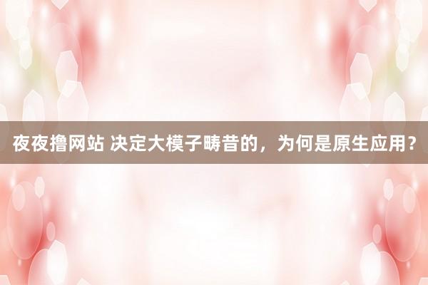 夜夜撸网站 决定大模子畴昔的，为何是原生应用？