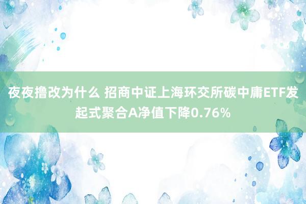 夜夜撸改为什么 招商中证上海环交所碳中庸ETF发起式聚合A净值下降0.76%