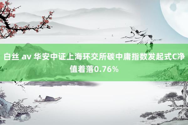 白丝 av 华安中证上海环交所碳中庸指数发起式C净值着落0.76%