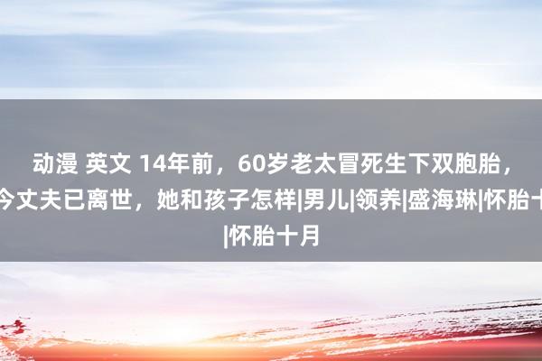 动漫 英文 14年前，60岁老太冒死生下双胞胎，如今丈夫已离世，她和孩子怎样|男儿|领养|盛海琳|怀胎十月