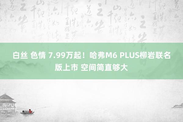 白丝 色情 7.99万起！哈弗M6 PLUS柳岩联名版上市 空间简直够大