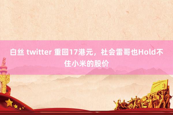 白丝 twitter 重回17港元，社会雷哥也Hold不住小米的股价