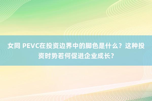 女同 PEVC在投资边界中的脚色是什么？这种投资时势若何促进企业成长？