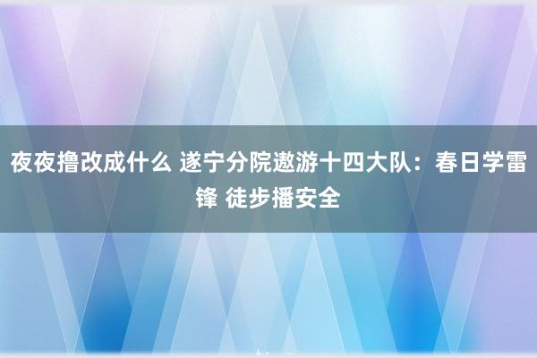 夜夜撸改成什么 遂宁分院遨游十四大队：春日学雷锋 徒步播安全