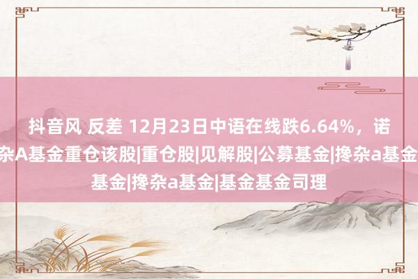 抖音风 反差 12月23日中语在线跌6.64%，诺安积极酬谢搀杂A基金重仓该股|重仓股|见解股|公募基金|搀杂a基金|基金基金司理