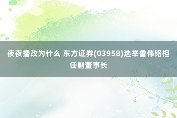 夜夜撸改为什么 东方证券(03958)选举鲁伟铭担任副董事长